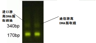 迪佰游离DNA提取磁珠简介